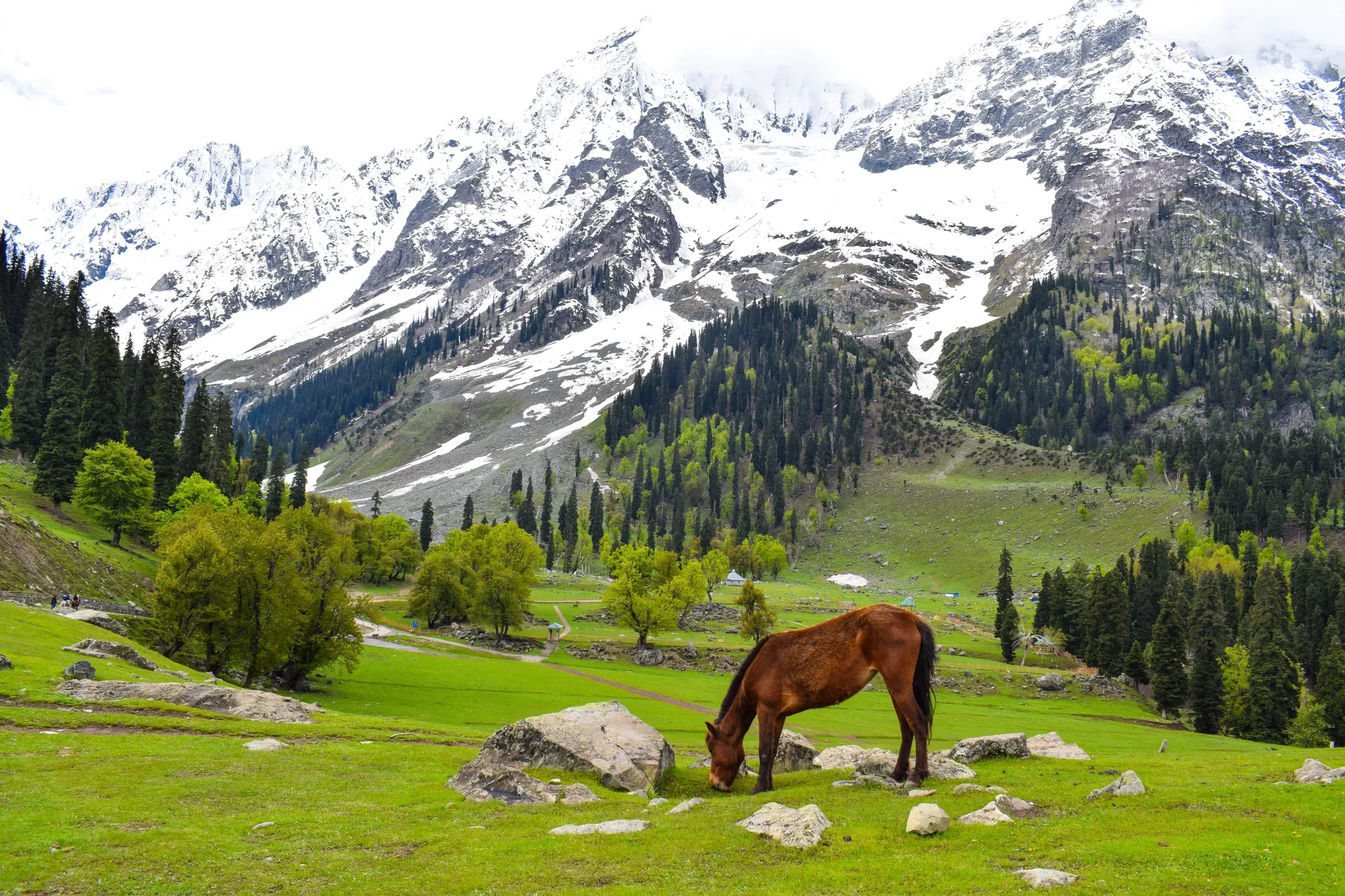 Kashmir Tour
