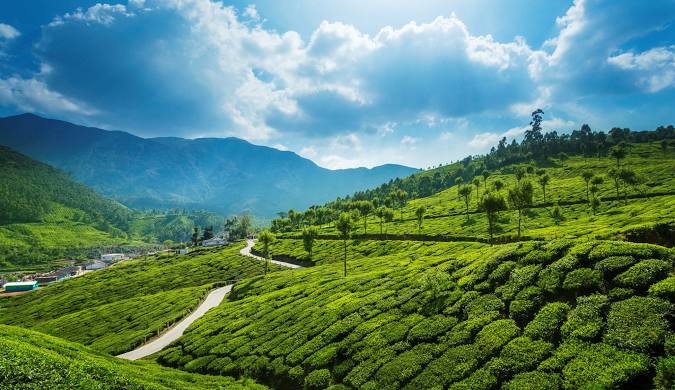 Munnar Tour